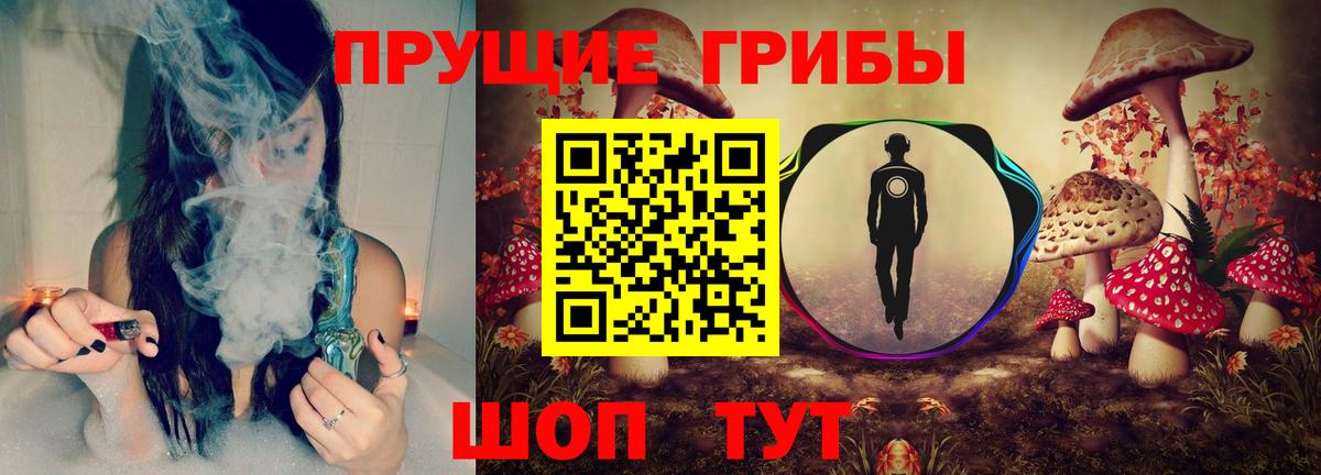 Псилоцибиновые грибы Cubensis Мелеуз
